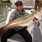 Glory_Fishing グローリーフィッシング SUZUKIMARINE フェイバス