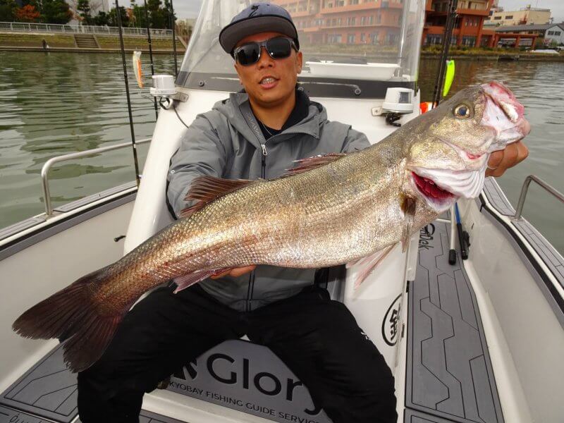 Glory_Fishing グローリーフィッシング SUZUKIMARINE フェイバス