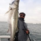 Glory_Fishing グローリーフィッシング SUZUKIMARINE フェイバス