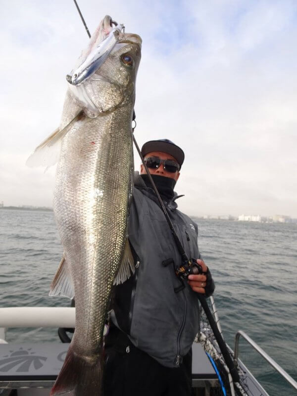 Glory_Fishing グローリーフィッシング SUZUKIMARINE フェイバス